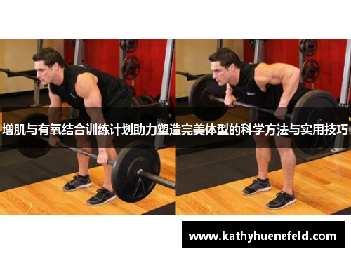 增肌与有氧结合训练计划助力塑造完美体型的科学方法与实用技巧