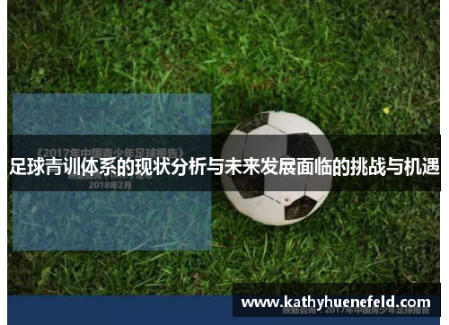 足球青训体系的现状分析与未来发展面临的挑战与机遇