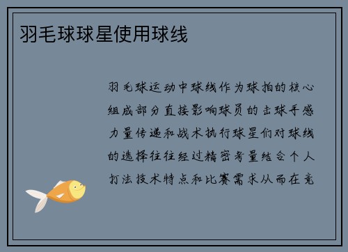 羽毛球球星使用球线
