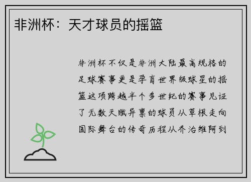 非洲杯：天才球员的摇篮